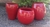 Pacote de formas vasos lisos