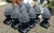 Pacote com 12 formas - tienda online