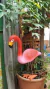 Formas de Fibra para fazer Flamingos Tam 2 e 3 - buy online