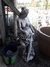 Forma de Fibra para fazer Estátua Rainha - comprar online