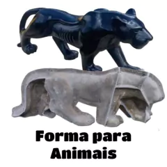 Categoria 2