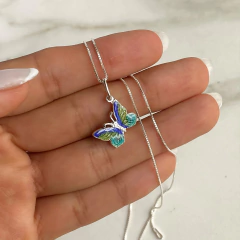 conjunto mariposa en internet