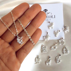 conjunto signo zodiaco