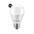 Lâmpada LED Elgin Bulbo A55 4,9W E27 Branca Fria 6500K econômica e durável.