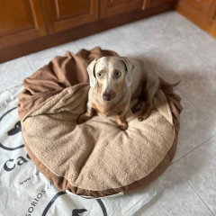 Imagen de Combo Cama Liza de Verano Con Funda De Invierno