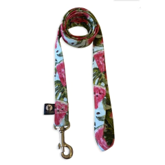 Correa Cachito en internet