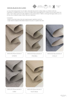 Blackout lino en internet
