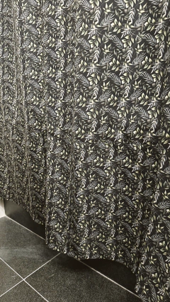 Cortina Ares en internet