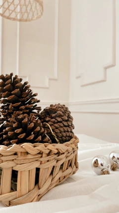 Panera cuadrada - Jota de Naz