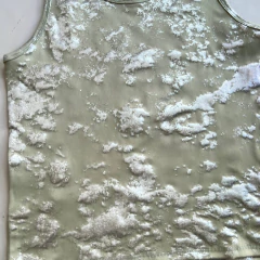 MUSCULOSA AITANA en internet