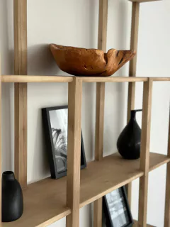 Biblioteca Francisca en internet