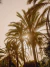Banner de Dread