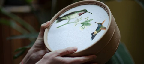 Carrusel Flor de Fango