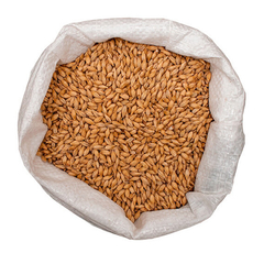 Malta Amber Dead Straight Pauls Malt en internet