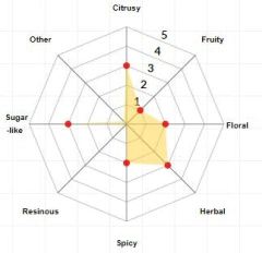 Lúpulo Bravo - Hopsteiner - comprar online