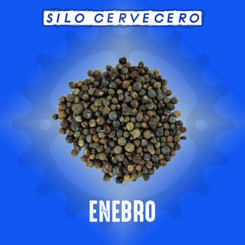 Enebro