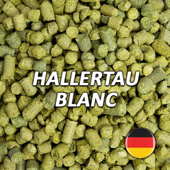 Lúpulo Hallertau Blanc - Hopsteiner