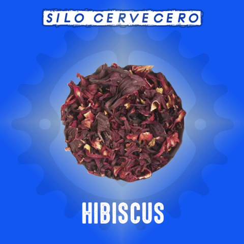 Hibiscus