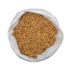 Malta Munich The Muscley -Pauls Malt - comprar online