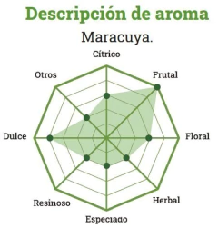 Lúpulo Patagonia Passion - Lúpulos Patagónicos en internet