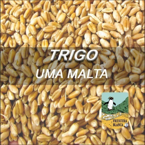 Malta Trigo UMA MALTA