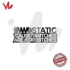 Adesivo Static ´Cause Switches Are For Bitches