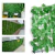 Muro Inglês 50cm x 50cm Jardim Vertical Artificial Ficus Painel Verde Decorativo
