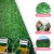 Muro Inglês 50cm x 50cm Jardim Vertical Artificial Ficus Painel Verde Decorativo - Colai Adesivos