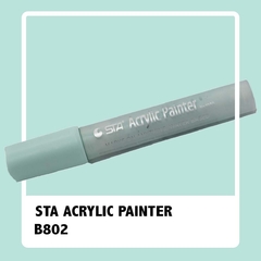 ACRYLIC PAINTER B802 LIGHT AQUA