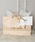Kit para embalar e encantar - Sacola de papel - comprar online