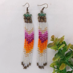 Aros Paraiso en internet