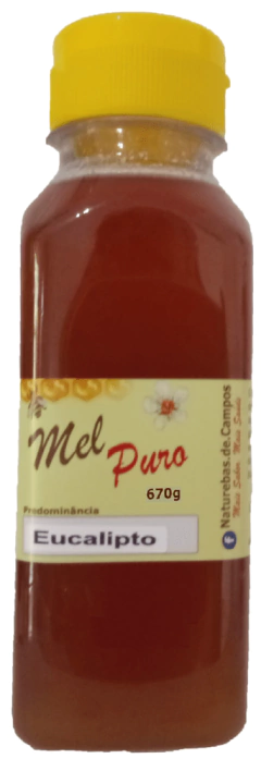 Mel Puro - Florada EUCALIPTO - loja online
