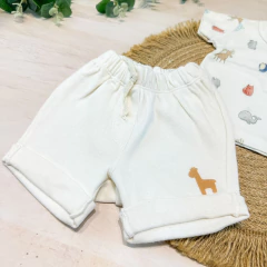 Conj. Alonso en internet