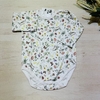 Body Cattleya