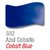 Barniz Vitral Acrilex por 37ml - Libreria Lerma