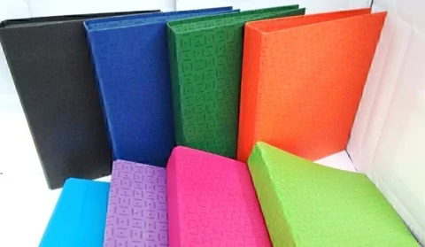 Carpeta A4 Lomo Ancho Platil