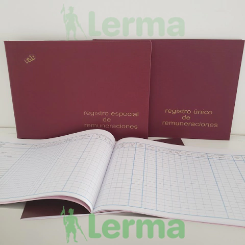 Libro Regristro Especial de Remuneraciones RAB