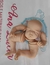 Angelina LDC TRANS