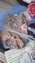 KIT COMPLEMENTO PRA OS KITS PEGUE E MONTE - comprar online