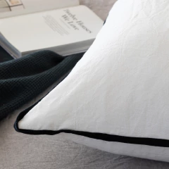 ALMOHADON CON VIVO en internet