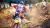Mxgp Pro - comprar online