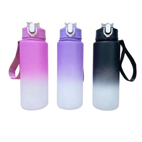 Botella deportiva PRO 650ml Degradado