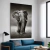 ELEFANTE