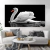 CISNE - comprar online