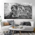 TIGRE BLANCO Y NEGRO - comprar online