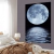MOON - comprar online