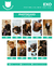 Photocards EXO - Don't Mess Up My Tempo