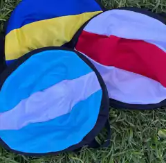 Porta pelotas Selección Argentina en internet
