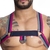 HARNESS ELÁSTICO LISTRADO TRIÂNGULO METAL SD CLOTHING
