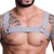 HARNESS ELÁSTICO CINZA COM TRIANGULO SD CLOTHING